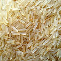Pusa Parboiled Basmati Rice