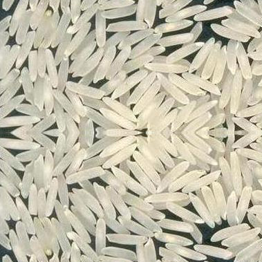 PR11 Steam Rice
