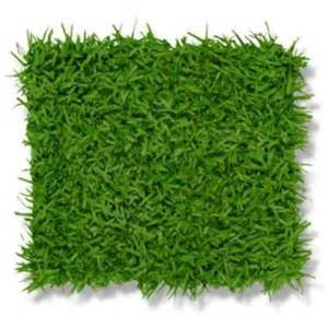 Grass Mat Back Material: Rubber Tpr