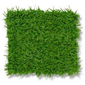 Grass Mat