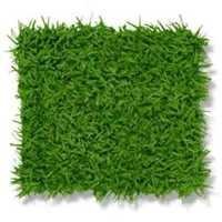 Grass Mat