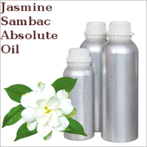 Jasmine Sambac Absolute Oil