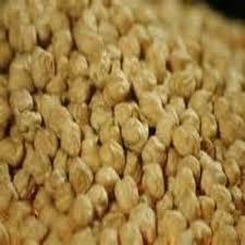 Chick Peas