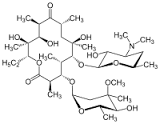 Erythromycin