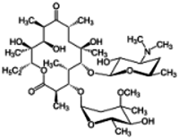 Erythromycin