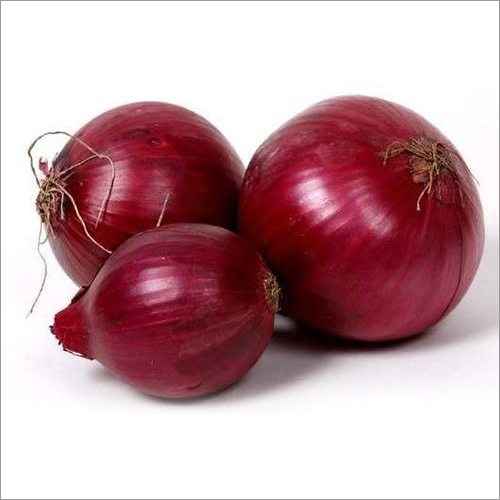 Fresh Red Onion