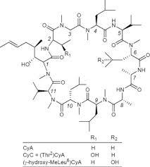 ESI Tuning Mix, for Ion Trap