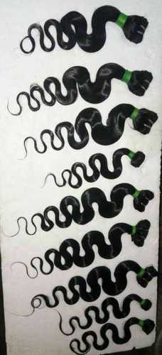 Black Sukanya Human Hair