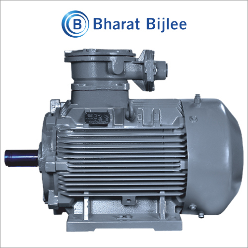Standard Flame Proof Motors