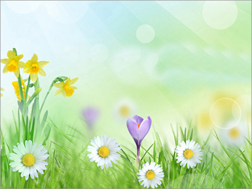 Molessi Decals Green Grass Flower