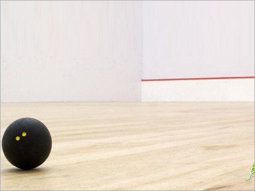 Squash Court Plaster