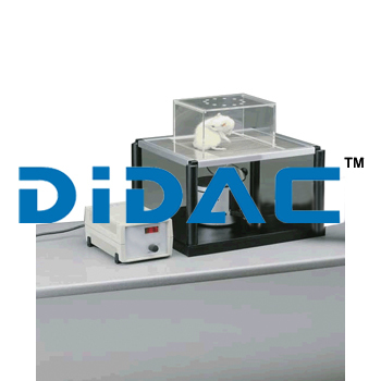 Dynamic Plantar Anesthesiometer Dynamic Plantar Anesthesiometer