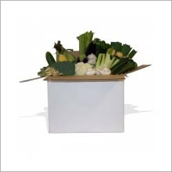 Vegetable Export Boxes