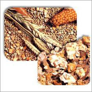 Poultry Feed Supplements