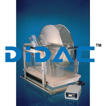 Mouse Activity Wheel And Cage Mouse Activity Wheel And Cage