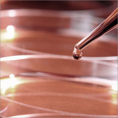 Pharmaceutical Products Testing Services