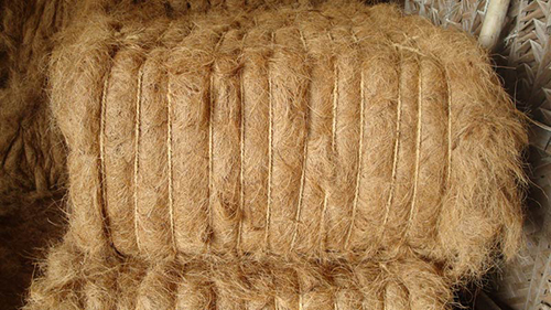 Fiber
