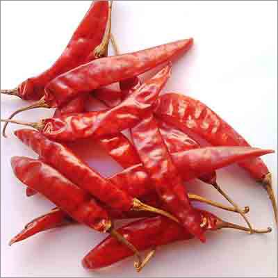 S 4 Sannam Chilli With Stem