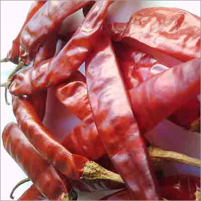 Guntur Chilli With Stem - Length 5-7 cm Width 1.5-2 cm 20000-35000 SHU | Sun-Dried Intense Red Color Low Moisture Freshness Purity