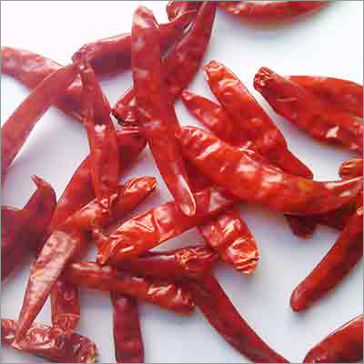Guntur Chilli Stemless