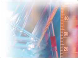 Consultancy Services