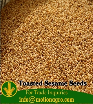 Toasted Hulled Sesame Seeds