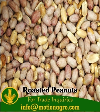 Roasted Peanuts