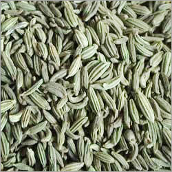 Green Fennel Seeds Flavor at Best Price in Kanpur | Blue Bell Fragrances