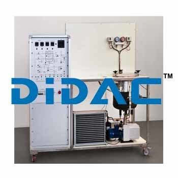 Freeze Drying Plant