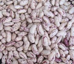 Light Speckled Kidney Bean