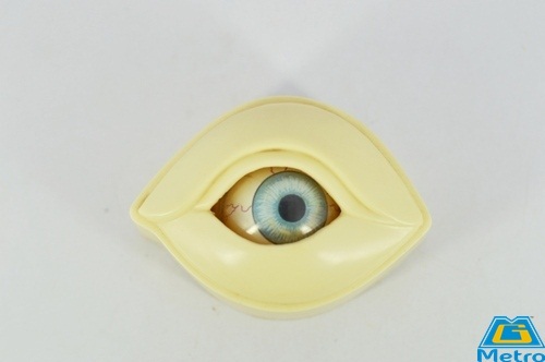 Eye Paper Weight