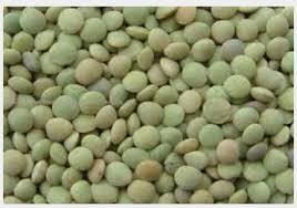 Laird Lentils