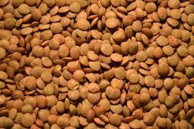 Morton lentils