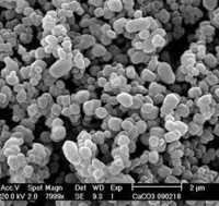 Nano Calcium Carbonate Master Batch