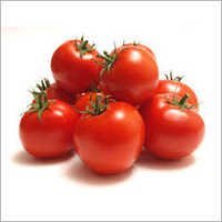 Fresh Red Tomato