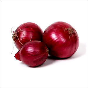 Red Fresh Onion
