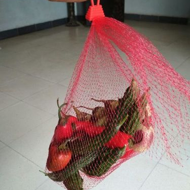 Plastic Net Bag