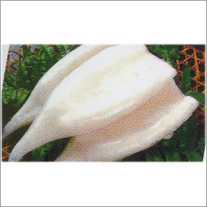 Frozen Squid Tube