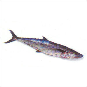 Kingfish Seafood