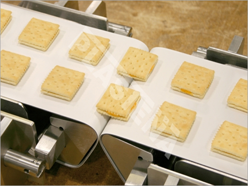 Conveyer For Food Processing
