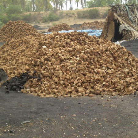 Coconut Shell Charcoal Chips
