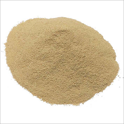 Rice Protein