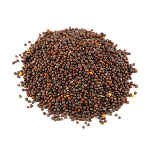 Mustard Seeds