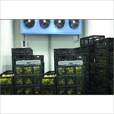 Ripening Chambers - Steel, Variable Capacity, 220V Power, 0-25Â°C Temperature Range | Improved Quality, Increased Yield, Humidity Control, Optimized Storage, Precise Control, Reduced Waste, Uniform Ripening