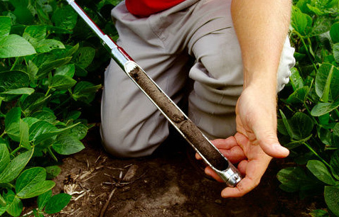 Soil Testing Service
