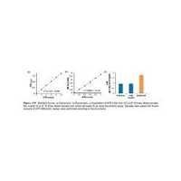 ATP Colorimetric/Fluorometric Assay Kit