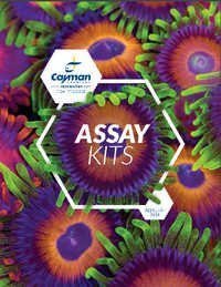 Total anti oxidant assay kit (TAC Kit) 100 test
