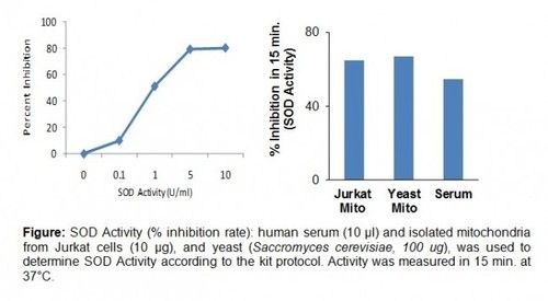 Superoxide Dismutase (SOD) Activity Colorimetric Assay Kit