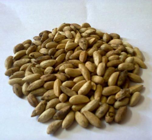 Neem Seeds