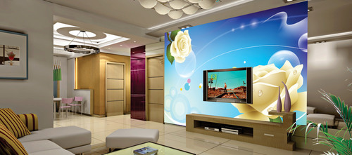 Tv paneling